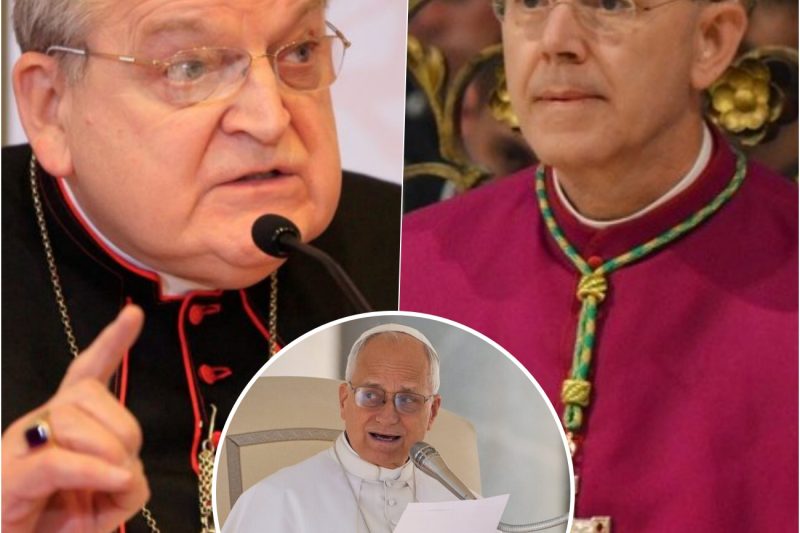 ¡BURKE y SCHNEIDER lanzan las acusaciones más GRAVES contra el pontificado de LEÓN!