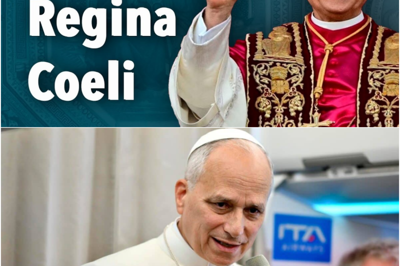 El Papa León XIV Rompe el Silencio: Alerta Mundial por Terrorismo en el Sahel y Crisis Sanitaria por Hantavirus en Alta Mar