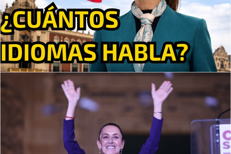 ¿SABE HABLAR FRANCÉS? CUANTOS IDIOMAS SABE HABLAR CLAUDIA SHEINBAUM🚨