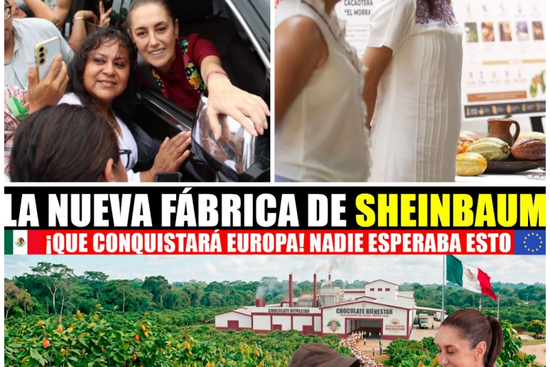 ¡El Megaproyecto que Conquistará Europa! Sheinbaum Rescata el “Oro Ancestral” de Tabasco con la Nueva Fábrica de Chocolate del Bienestar
