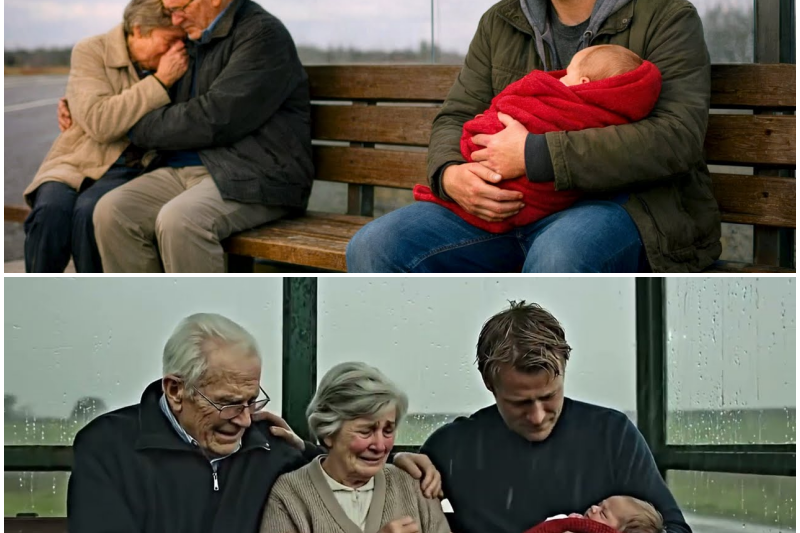 PAPÁ VIUDO ENCUENTRA ANCIANOS LLORANDO EN PARADA DE CAMIÓN, PERO EL MOTIVO IMPRESIONA