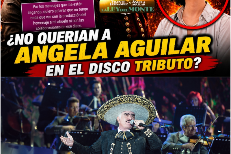 El Escándalo Detrás Del Tributo A Vicente Fernández Tensiones Amenazas Y Dinastías Enfrentadas