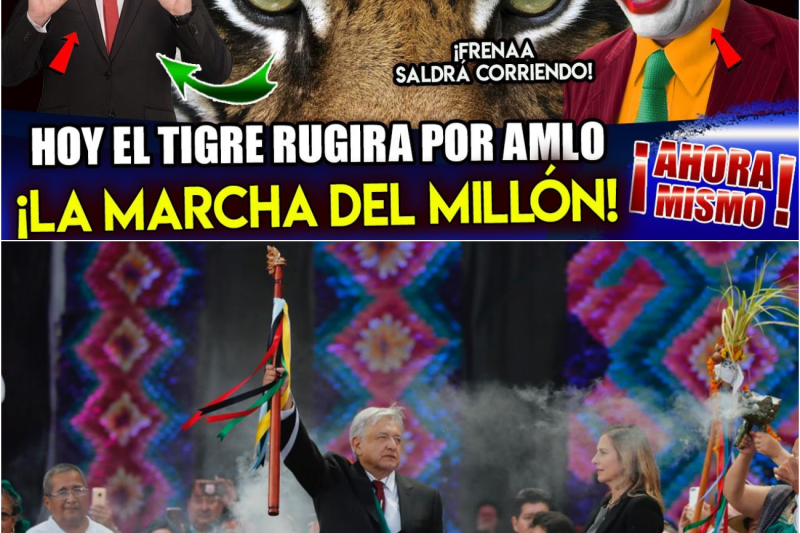 LLEGÓ EL DÍA MÉXICO! HOY EL TIGRE RUGIRA CON AMLO EN EL ZÓCALO ¡ES LA MARCHA DEL MILLÓN!