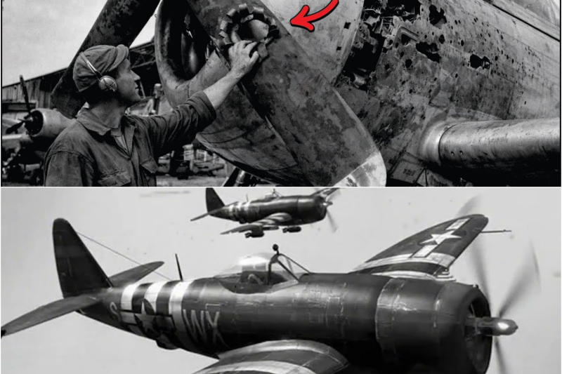 El “truco absurdo” de un ingeniero con la hélice que convirtió al P-47 en un monstruo de 756 km/h