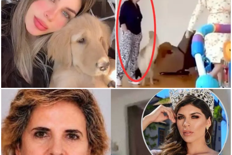 El Escalofriante Giro en el Caso Carolina Flores: Policía Confiesa el Hallazgo de Múltiples Víctimas Ocultas por la Suegra