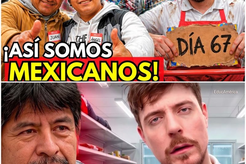 Encerraron a este MEXICANO en el reto de MRBEAST y dijo que iba a pedir VACACIONES 