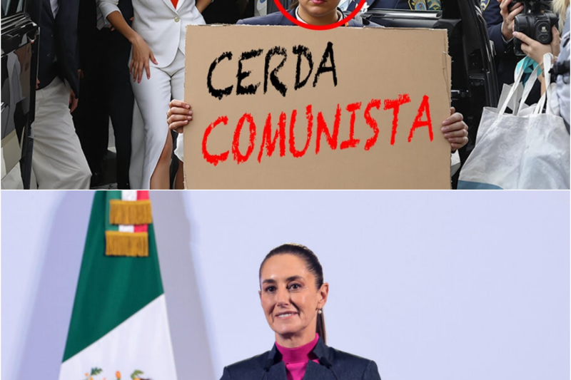 ¡EL JOVEN QUE LLAMO “CERDA COMUNISTA” A CLAUDIA SHEINBAUN PERO LO QUE LE CONTESTO LA PRESIDENTA…