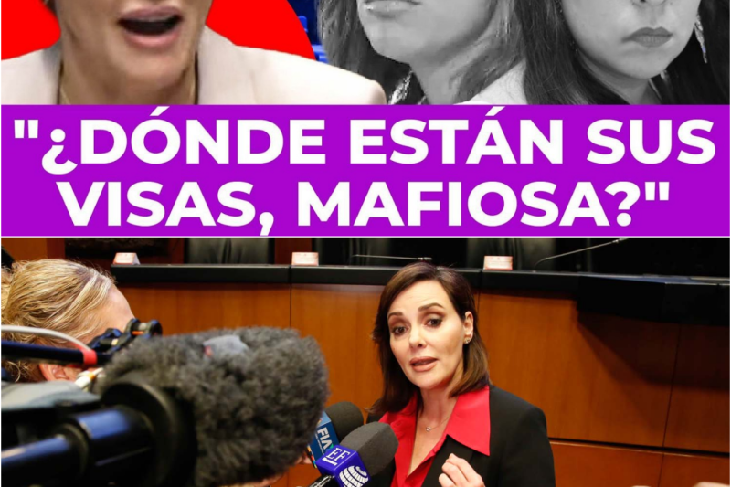¡LILLY HACER ARDER EL SENADO! Deja callada a senadora de Morena porque EUA le quitó su visa