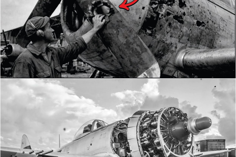 El “truco absurdo” de un ingeniero con la hélice que convirtió al P-47 en un monstruo de 756 km/h