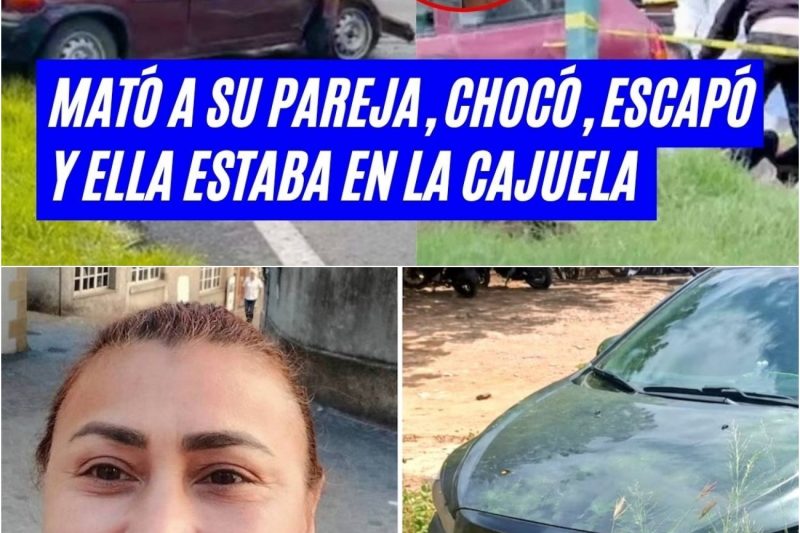 O Acidente que Revelou um Monstro: A Verdade Aterrorizante no Porta-Malas e o Trágico Destino de Wendy