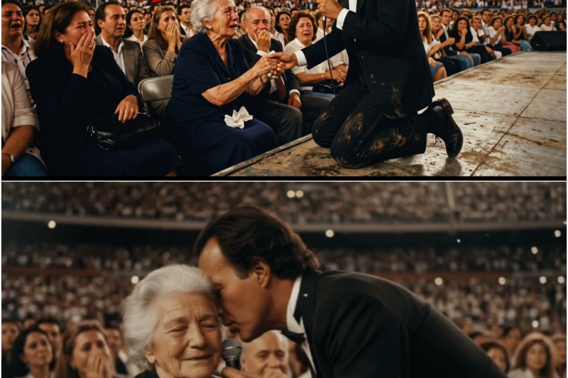 Julio Iglesias DETUVO La Canción Cuando Vio a Una Anciana Llorando — Fila 14 — 40.000 En Silencio