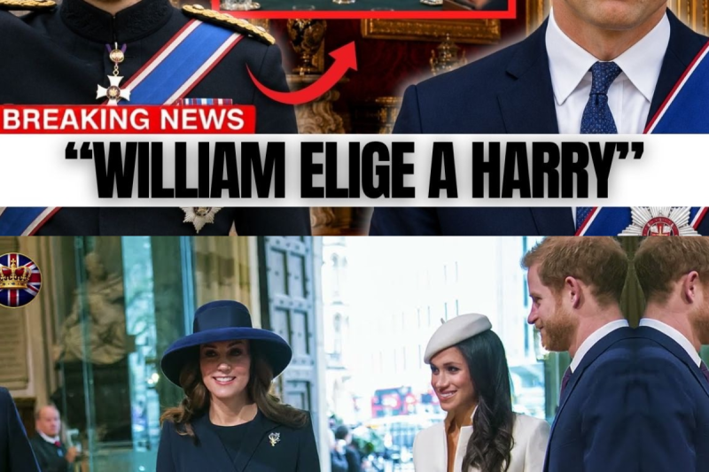 ¡BOMBA REAL! William lleva a Harry al Gabinete — un honor que ningún Rey concedió jamás