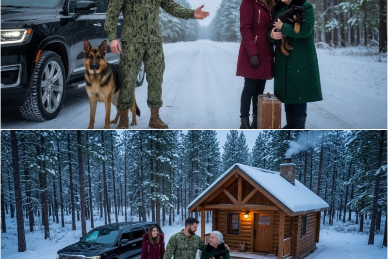 “¿Qué pasa aquí?” preguntó el Navy SEAL al ver una familia sola en la nieve