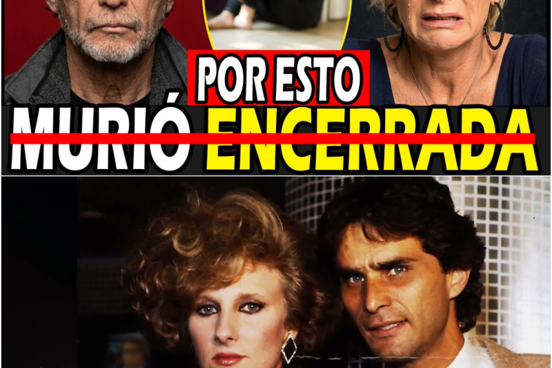 CHRISTIAN BACH: el macabro SECRETO y el cruel MISTERIO que APAGÓ a la reina.