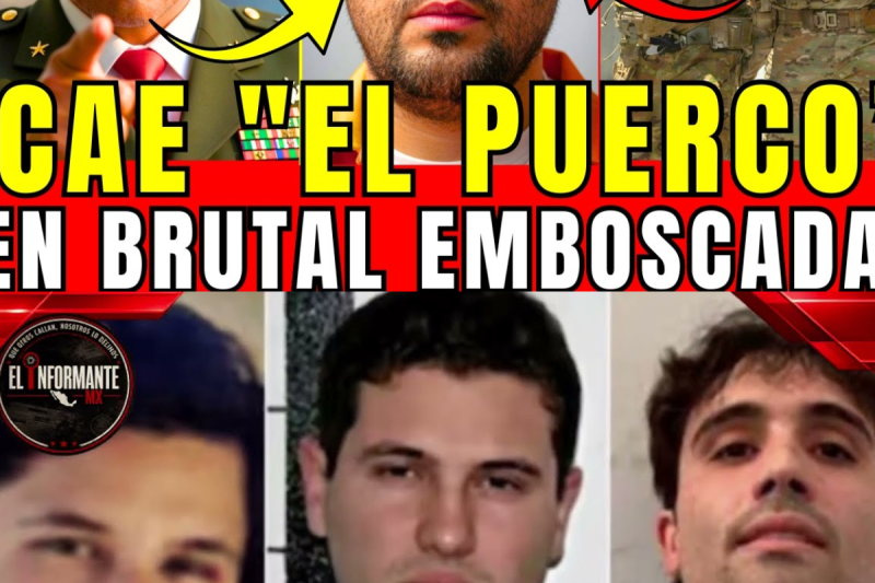 ¡HARFUCH CAPTURA “EL PUERCO” JEFE DE PLAZA DE LOS CHAPITOS Y TODA SU CÉLULA EL MISMO DÍA!