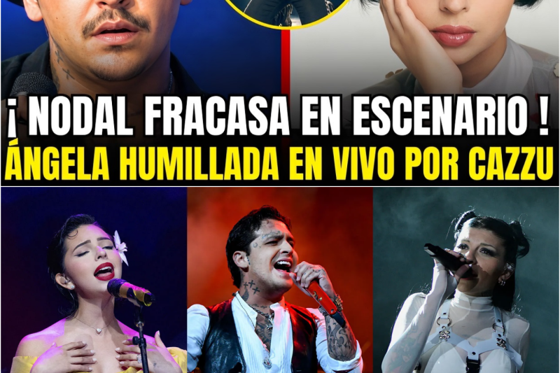 Crónica de un Declive: Entre Lágrimas, Escándalos y la Justicia Poética de la Música