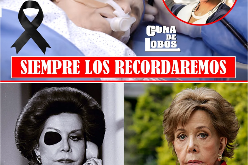 El Legado Inmortal de “Cuna de Lobos”: 10 Legendarios Actores que Nos Dejaron y su Impacto en la Historia de la Televisión