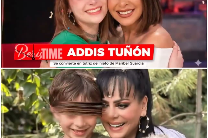 ¡Traición y Ambición al Descubierto! La Verdad Oculta Detrás de la Herencia de Julián Figueroa y el Despiadado Golpe Contra Maribel Guardia