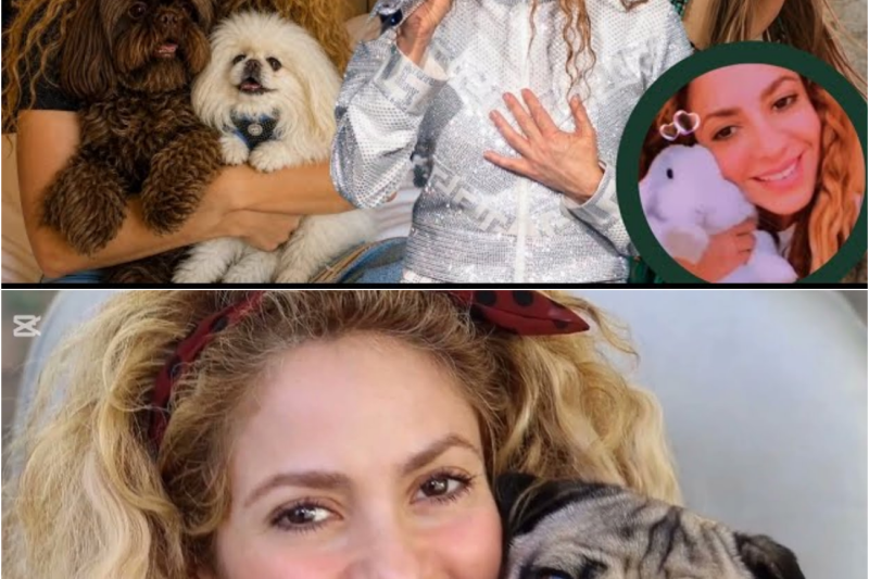 El destino de los compañeros mas leales: La emotiva historia de las mascotas de Shakira tras sus rupturas y el nuevo exito folclorico que conmueve al mundo