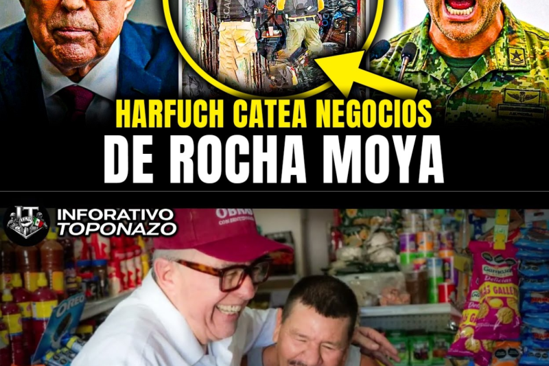 HARFUCH CATEA los 10 NEGOCIOS de los 9 FUNCIONARIOS ACUSADOS junto a ROCHA MOYA
