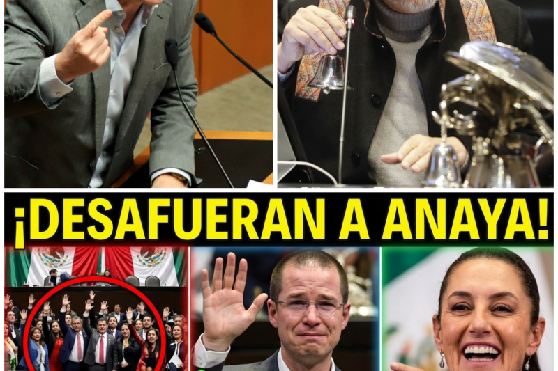 El Ocaso de la Impunidad y el Temor de la Oposición ante la Nueva Era de la Justicia en México