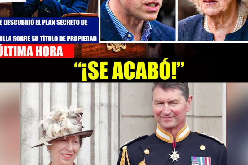 Anne expone el plan secreto de Camilla para la titularidad de sus hijos