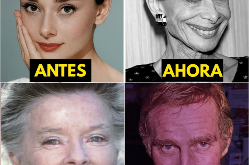 El Precio de la Gloria: Las Trágicas y Desconocidas Horas Finales de las Leyendas de Hollywood