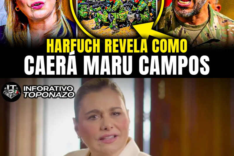 ASÍ CAERÁ MARU CAMPOS el 16 de MAYO: HARFUCH REVELA lo que PASARÁ en CHIHUAHUA 