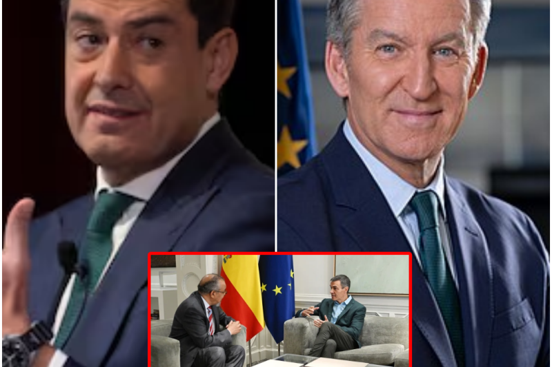 ¿Voto informado o ruido de redes? Lo que de verdad se juega España entre elecciones andaluzas, alarmas sanitarias y el circo político