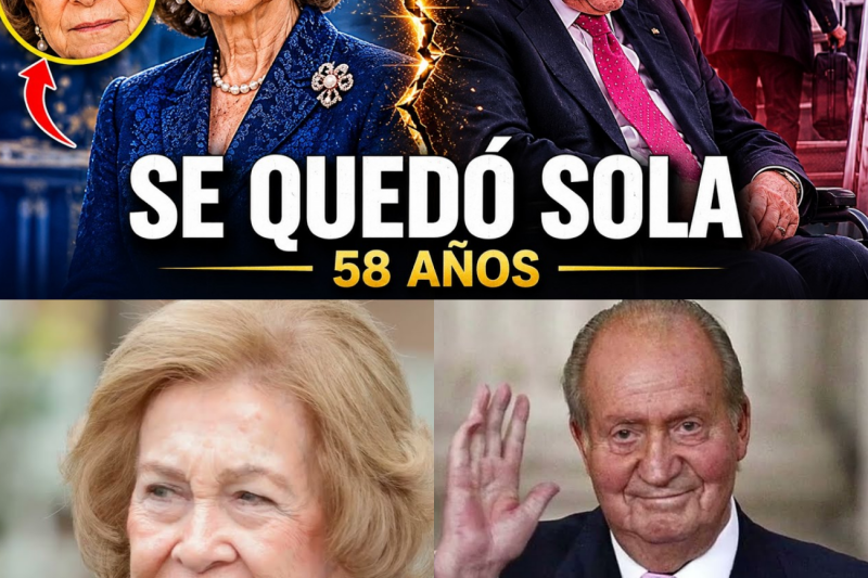 El Silencio de Sofía: La Verdad Oculta Detrás de 50 Años de Sacrificio, Escándalos y Lealtad a una Corona Rota
