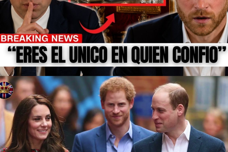 ¡BOMBA REAL! William le da a Harry acceso a los archivos más clasificados del Rey