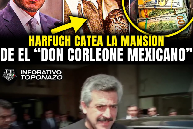 HARFUCH CATEA la MANSIÓN de el Don Corleone mexicano: el “Profesor” Hank y REVELA TODO