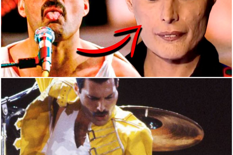 La Trágica y Oculta Verdad Detrás de la Muerte de Freddie Mercury: Amores, Traición y el Gran Secreto de sus Cenizas