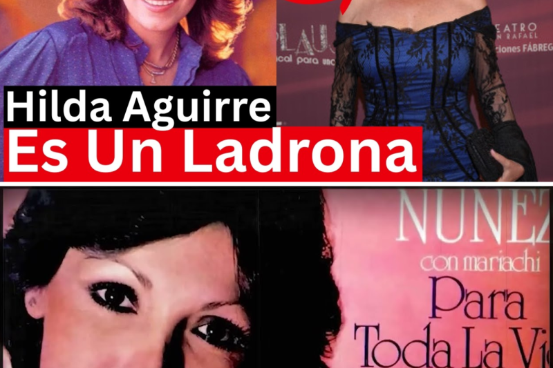 La Triste Historia de Estelita Nunez | Hilga Aguirre le queria robar