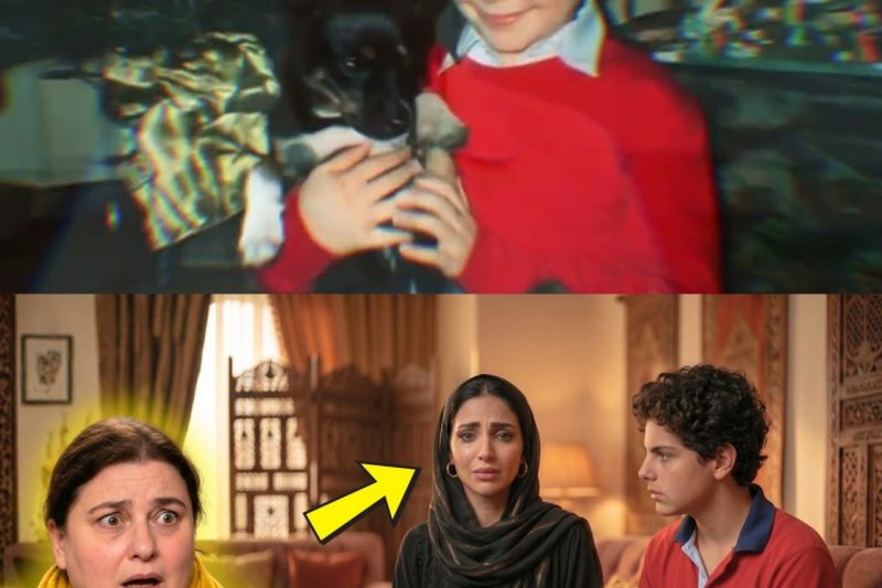 Una princesa de Arabia vino a buscarme… mi hijo Carlo Acutis se le apareció en un sueño