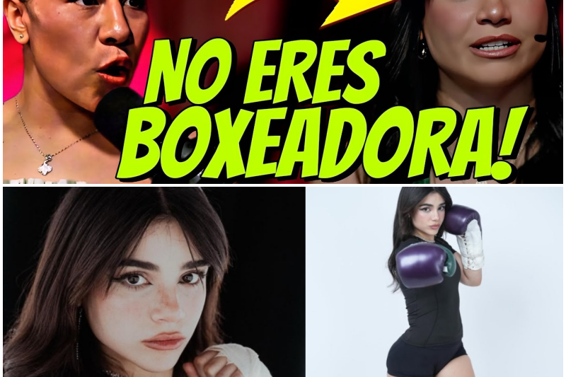 El Ring de Cristal: Cuando los Likes Valen Más que la Sangre y el Sudor en el Boxeo Profesional