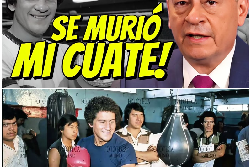 La tragedia que enmudeció a México: Las confesiones secretas y el desgarrador adiós a la leyenda de Salvador Sánchez