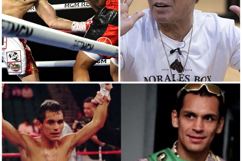 Nunca humilles a un Mexicano: 20 Nocauts brutales aztecas que silenciaron al mundo