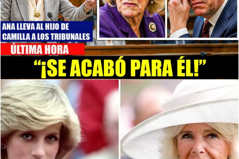 Guerra en Windsor: La princesa Ana lleva a los tribunales al hijo de la reina Camila por la explotación ilegal del castillo de Balmoral