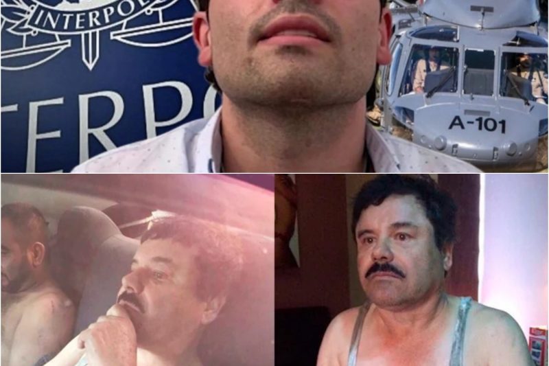 El Imperio en Ruinas: Dentro de las 4 Mansiones Abandonadas y los Túneles Secretos de la Dinastía Guzmán