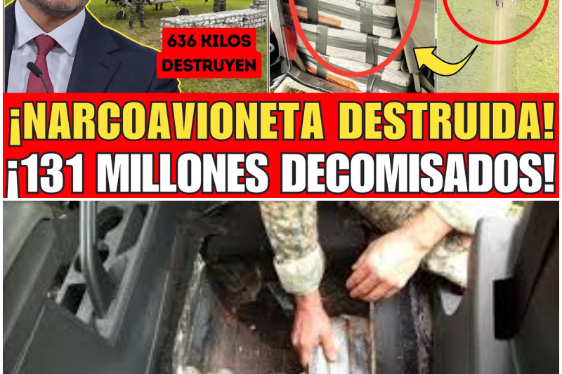 ¡Golpe Maestro en el Balcón del Usumacinta! El Ejército Mexicano y Harfuch Interceptan Avioneta Fantasma con Media Tonelada de Cocaína en Tabasco