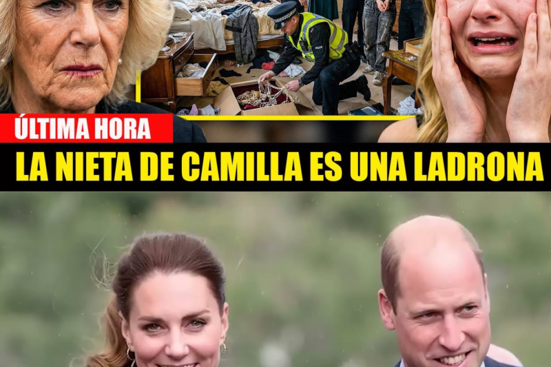 Guardia real rompe armario de nieta de Camilla y halla legado robado de la reina