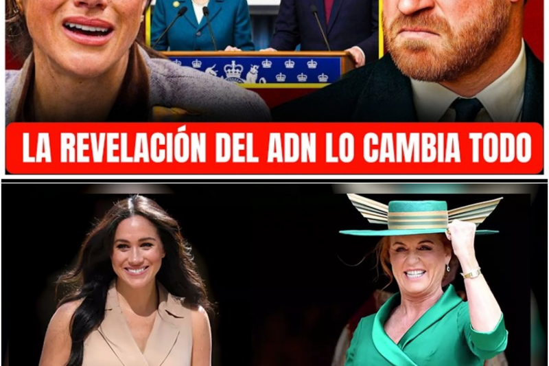 El Acuerdo Definitivo de Londres: El Cierre de la Batalla Legal de los Sussex y el Laberinto Institucional de la Corona