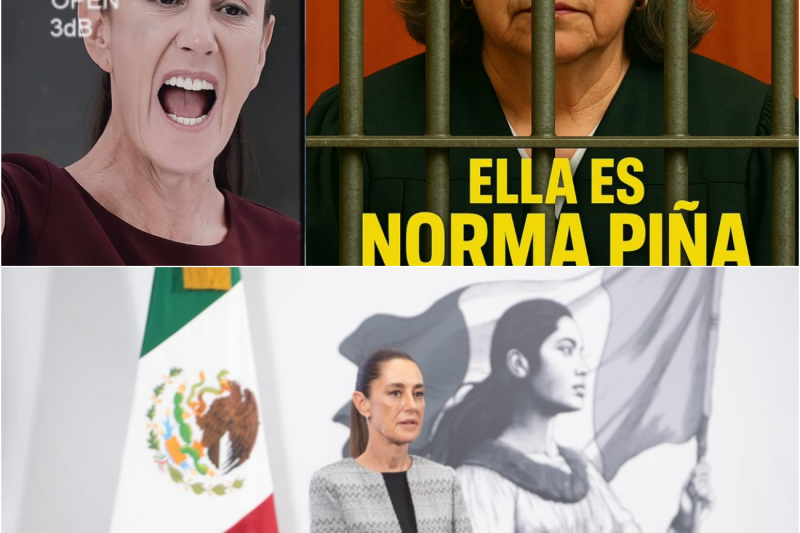 SHEIBAUM DETIENE A NORMA PIÑA! APLICABA ESTRATEGIA DE CALDERÓN EN MEXICO…