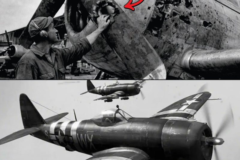 El “truco absurdo” de un ingeniero con la hélice que convirtió al P-47 en un monstruo de 756 km/h