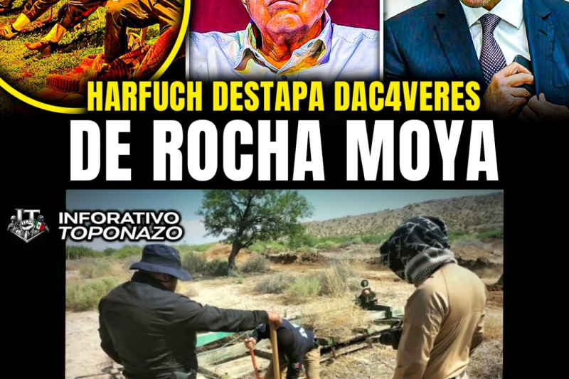 HARFUCH DESTAPA 28 CADÁVERES en FINCAS de ROCHA MOYA en SINALOA TRAS CATEO SORPRESA