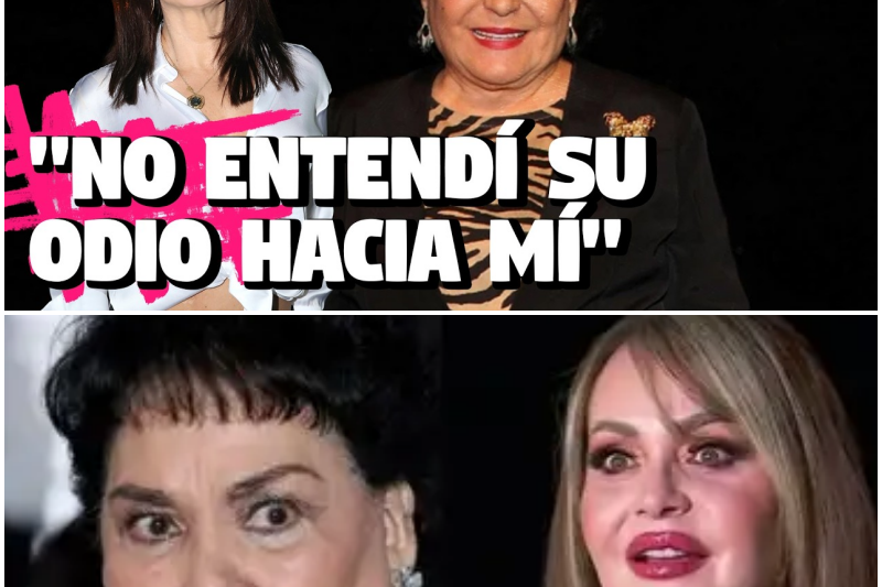 El Oscuro Secreto que Carmen Salinas se Llevó a la Tumba: La Devastadora Verdad de Gaby Spanic y el Envenenamiento de su Hijo