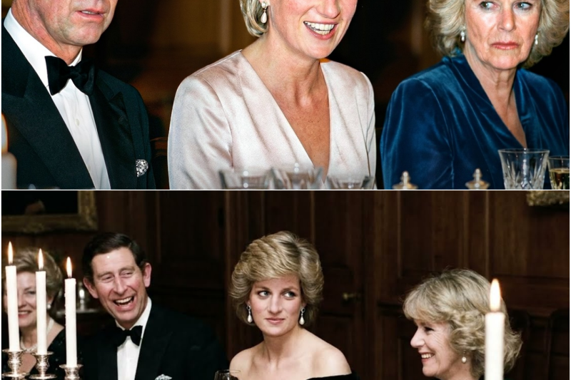 La noche en que la Princesa Diana reclamó su lugar frente a Camilla: El secreto de la pulsera que destruyó el cuento de hadas de la corona británica