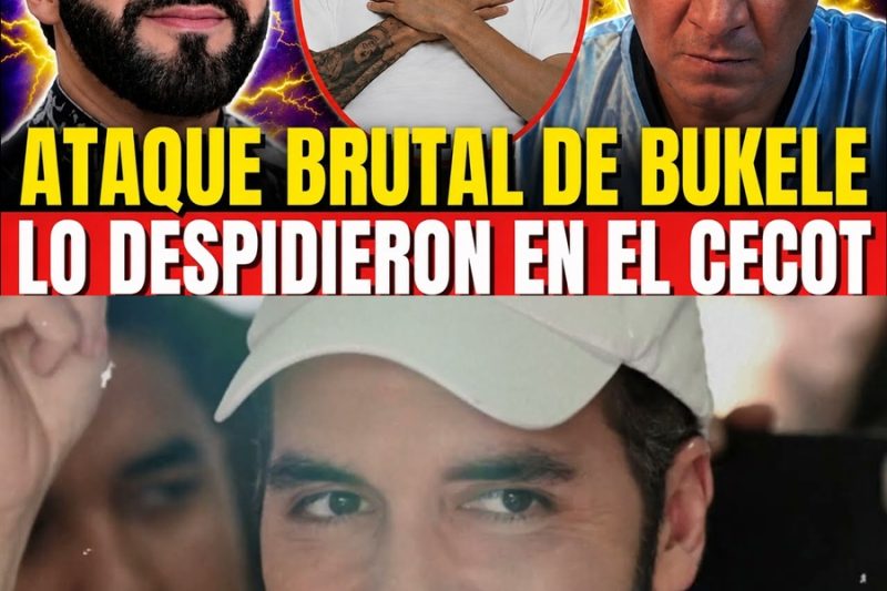 ¡LO QUE BUKELE HIZO EN SECRETO MIENTRAS LA FAMILIA DEL VIEJO LIN SUPLICABA!