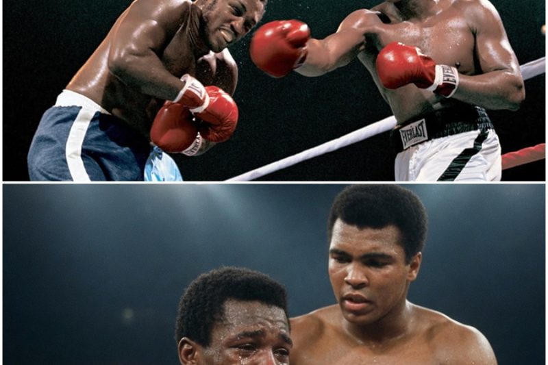 ¿El mayor fraude o el gesto más noble? El misterioso “quinto round” de 1974 donde Muhammad Ali dejó de pelear para salvar una vida.